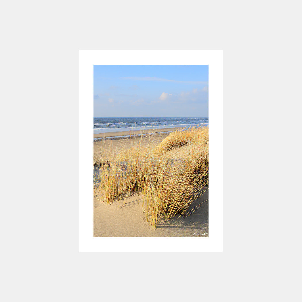 Poster photo 0710 Dunes du Touquet et oyats sur la Côte d'Opale