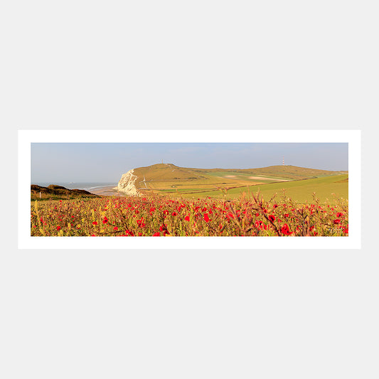 Poster photo 0824 Le Cap Blanc-Nez et champ de coquelicots