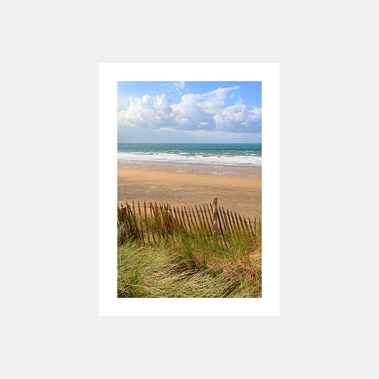 Poster photo 1014 Plage dunes et ganivelles en Normandie