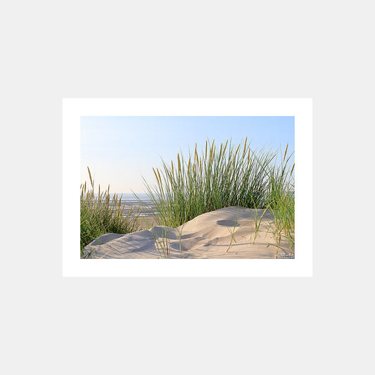 Poster photo 1067 Dune et oyats en été au Touquet sur la Côte d'Opale