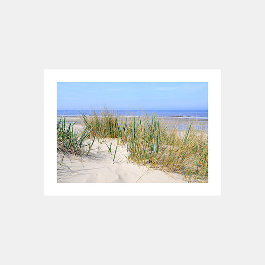 Poster photo 1209 Dune de sable et plage de la Côte d'Opale