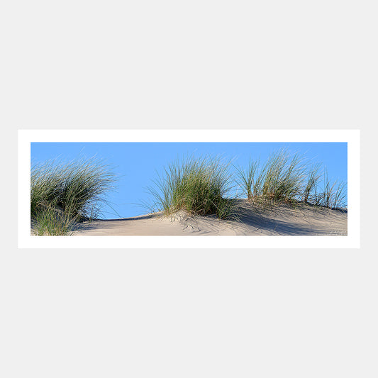 Poster photo 1230 Dunes de la Côte d'Opale