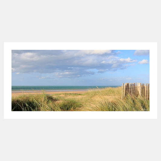 Poster photo 1255 Ganivelles dans les dunes en Normandie