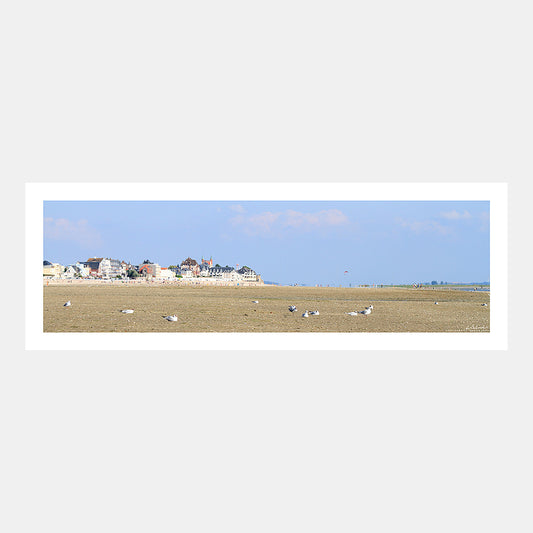 Poster photo 1270 Mouettes sur la plage du Crotoy en baie de Somme