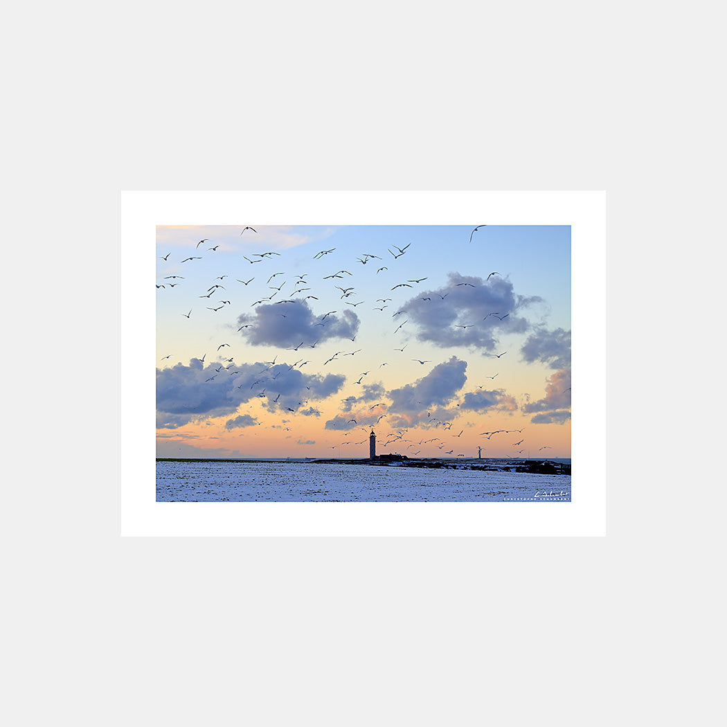 Poster photo 1285 Le phare du Cap Gris-Nez sous la neige