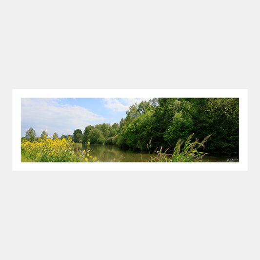 Photographie panoramique des bords fleuris de la Somme vers Ailly-sur-Somme en été, Vallée de la Somme, Somme, Hauts-de-France, France.