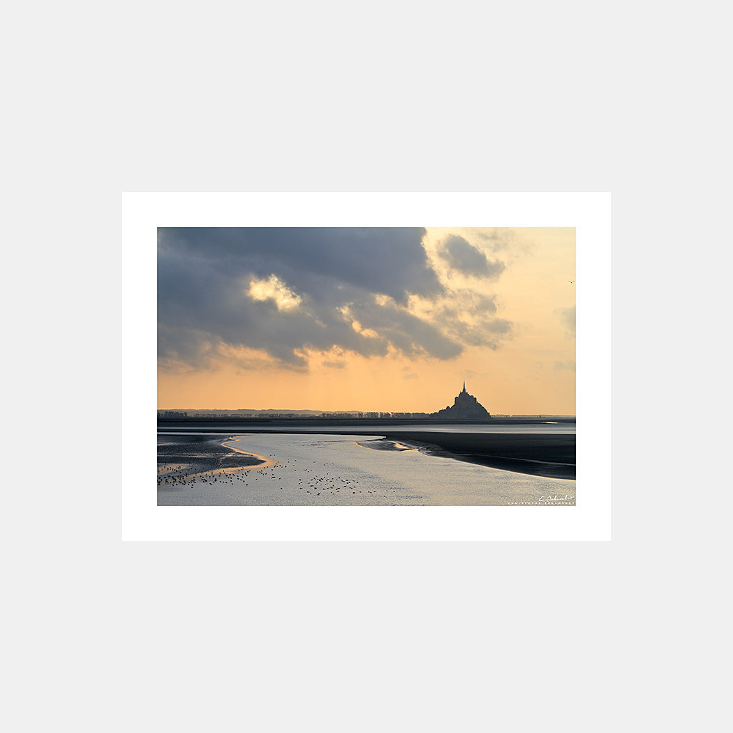 Photographie du Mont-Saint-Michel au crépuscule avec les oiseaux sur les bancs de sable à marée basse, Cotentin, Manche, Normandie, France.