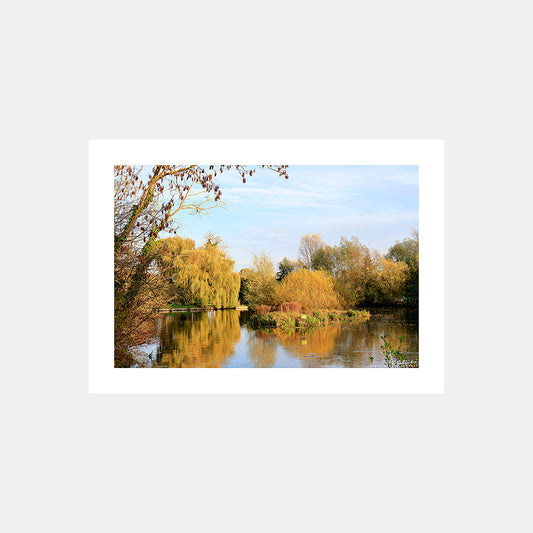 Photographie d'un étang dans les Hortillonnages à Amiens en automne, Vallée de la Somme, Somme, Hauts-de-France, France.