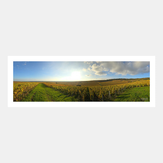 Photographie panoramique des villages de Bouzy et Ambonnay depuis la montagne de Reims avec les vignes de Champagne en automne au couchant, Champagne, Grand-Est, Marne, France.