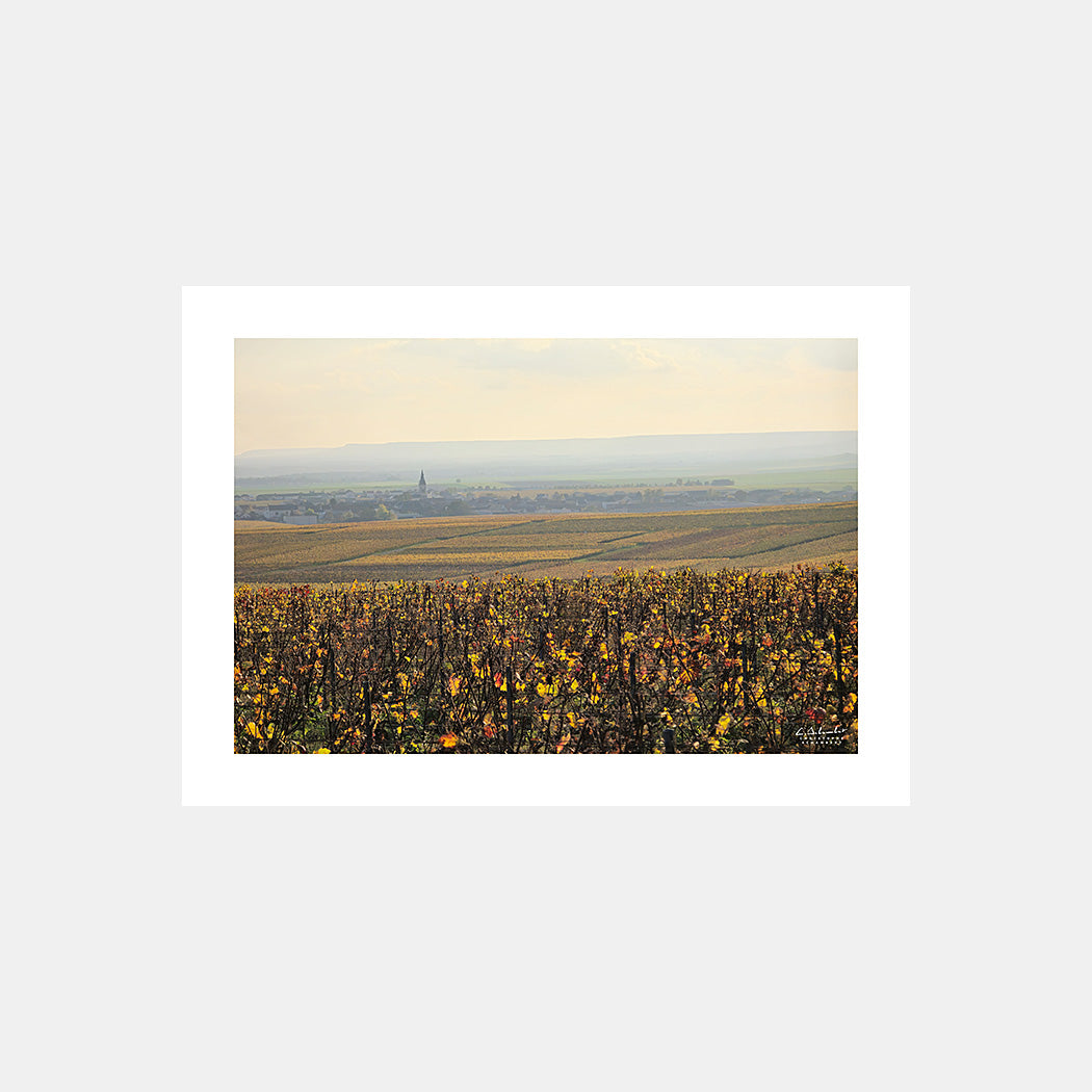 Photographie du village de Bouzy depuis la montagne de Reims avec les vignes de Champagne en automne dans la brume au couchant, Champagne, Grand-Est, Marne, France.