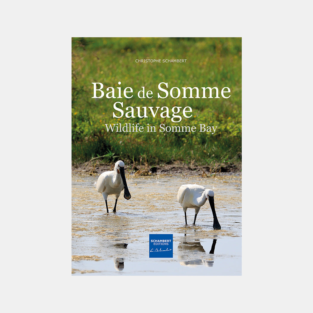 Livre photo Baie de Somme sauvage Couverture