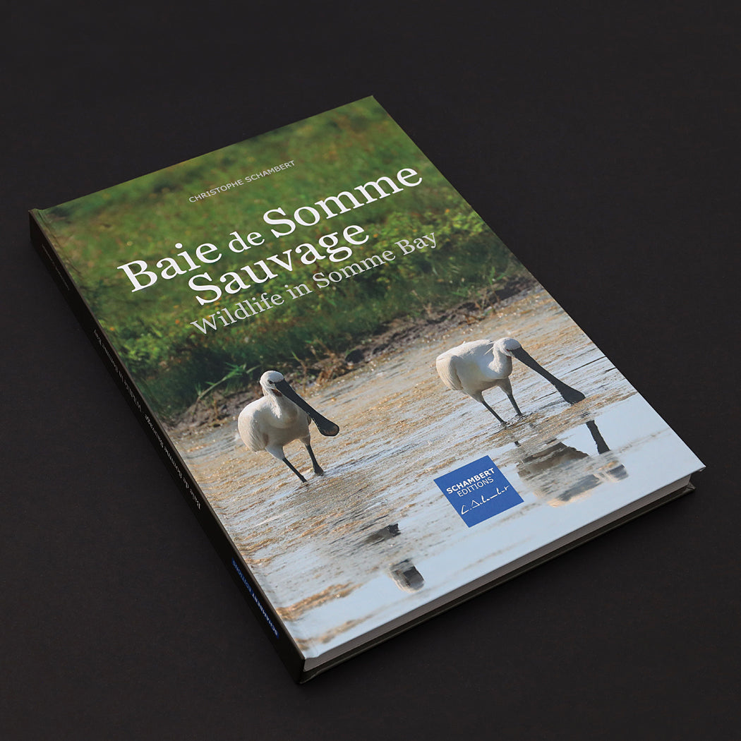 Livre photo Baie de Somme sauvage Photo